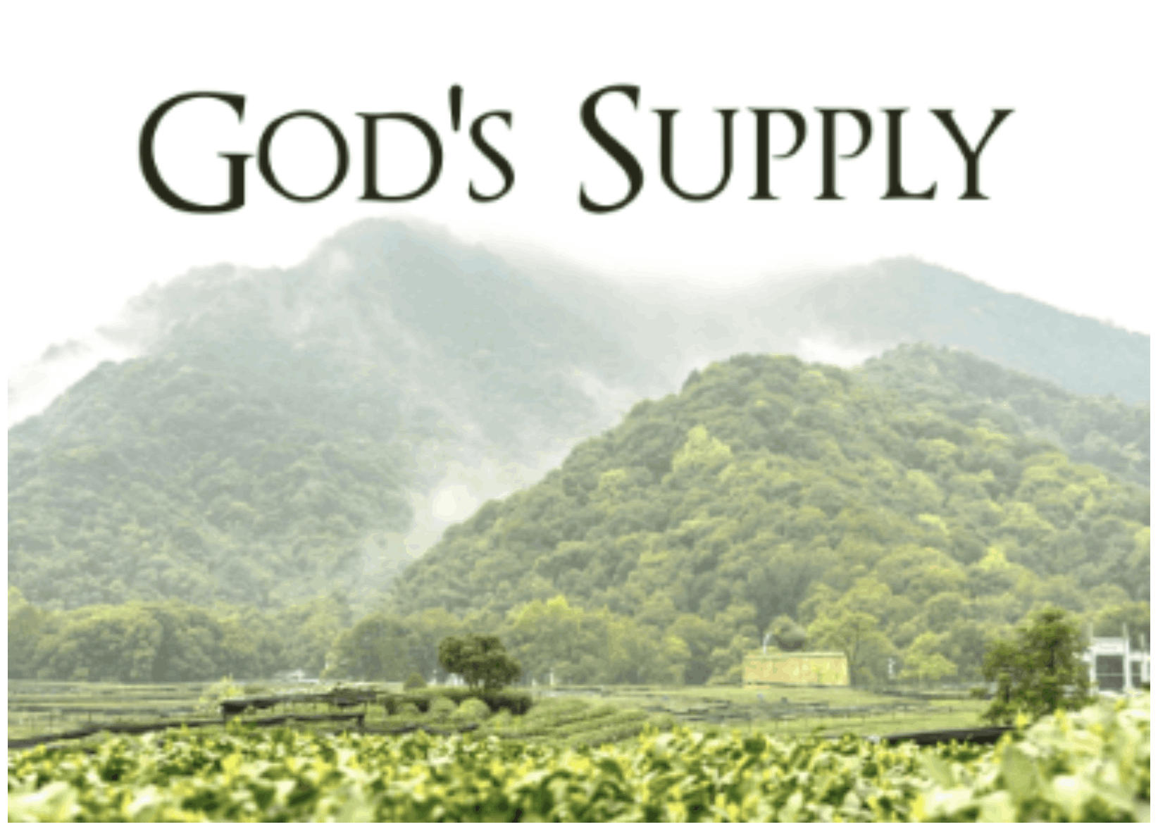 God's Supply