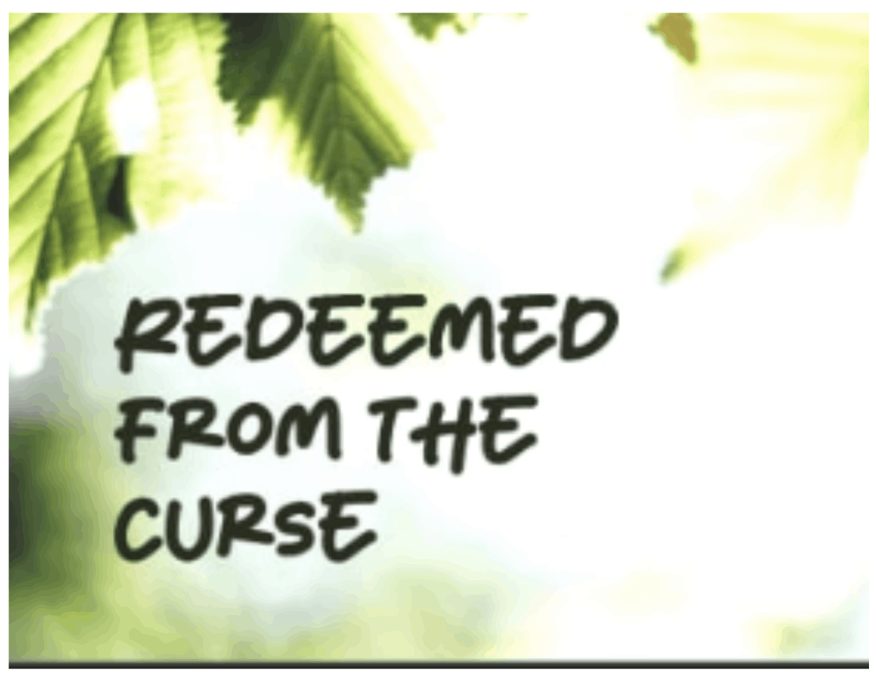 Redeemed from the Curse