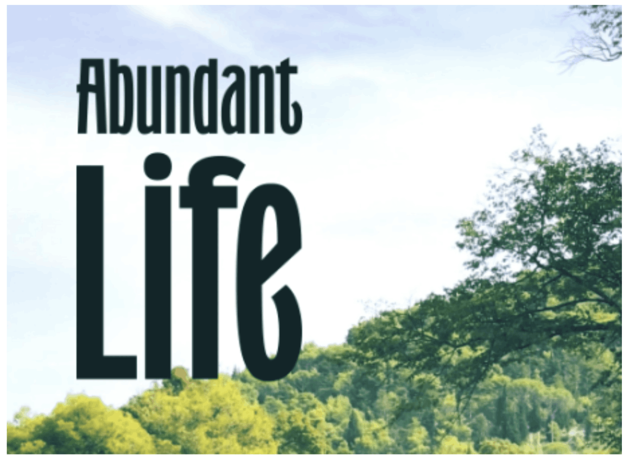Abundant Life