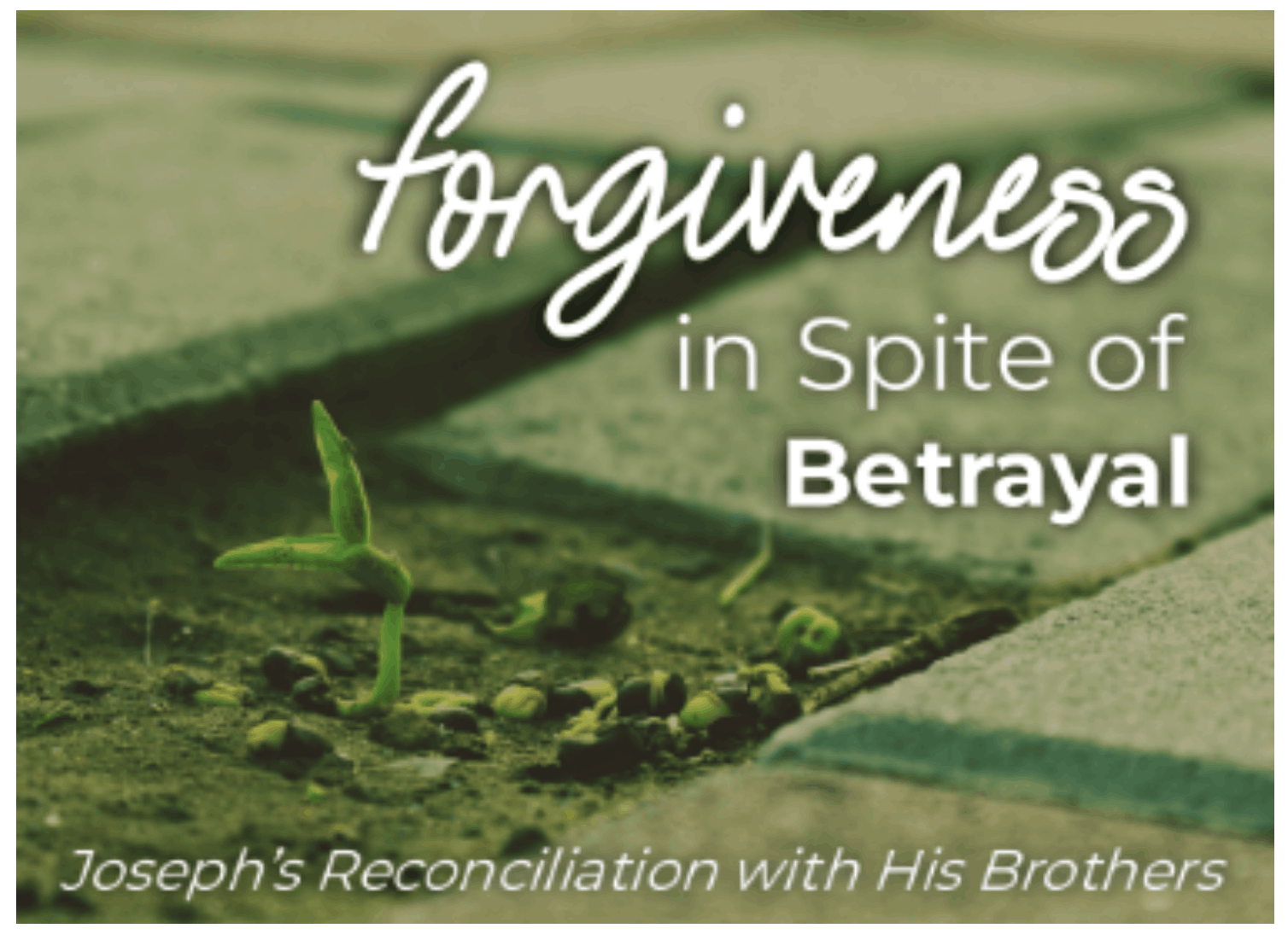 Forgiven in spite of Betrayal