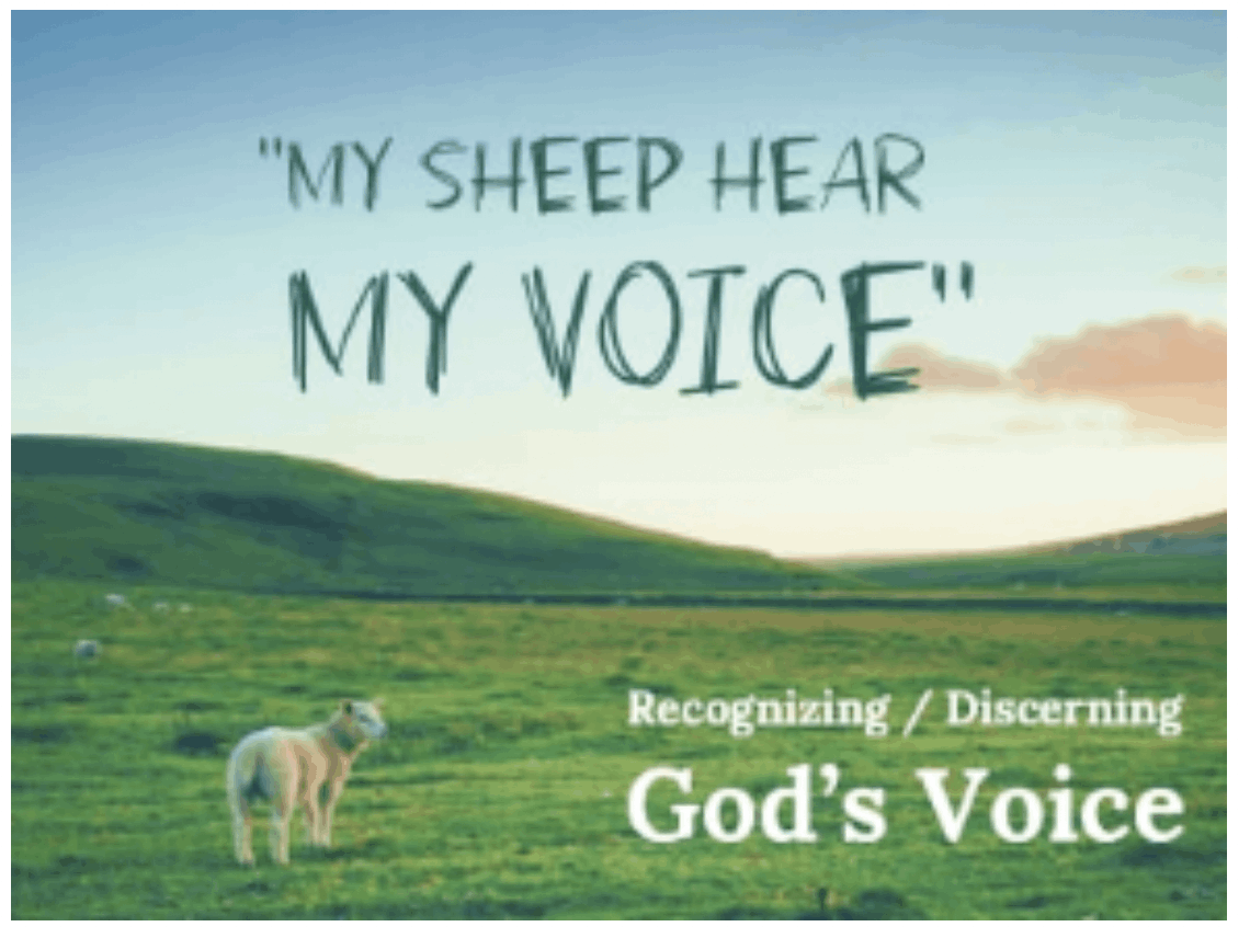 My Sheep hear My Voice