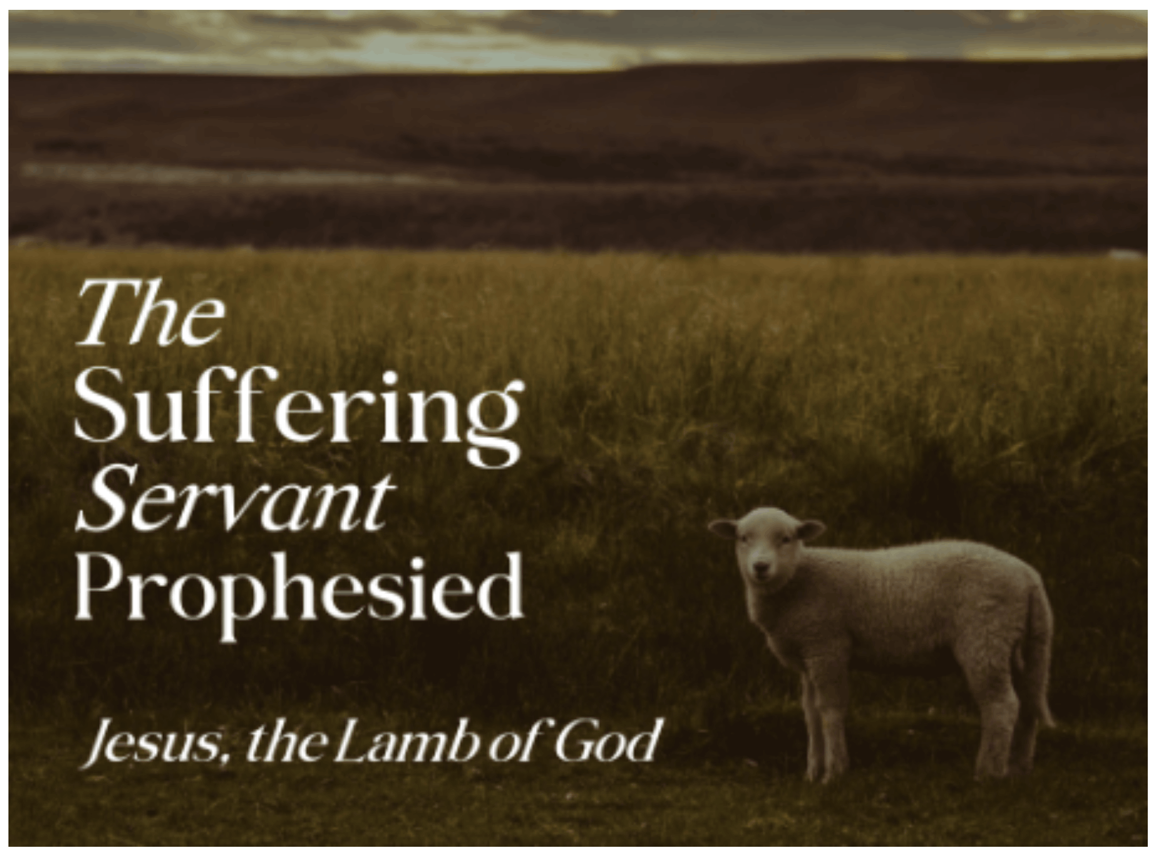 The Suffering Servant Prophesized