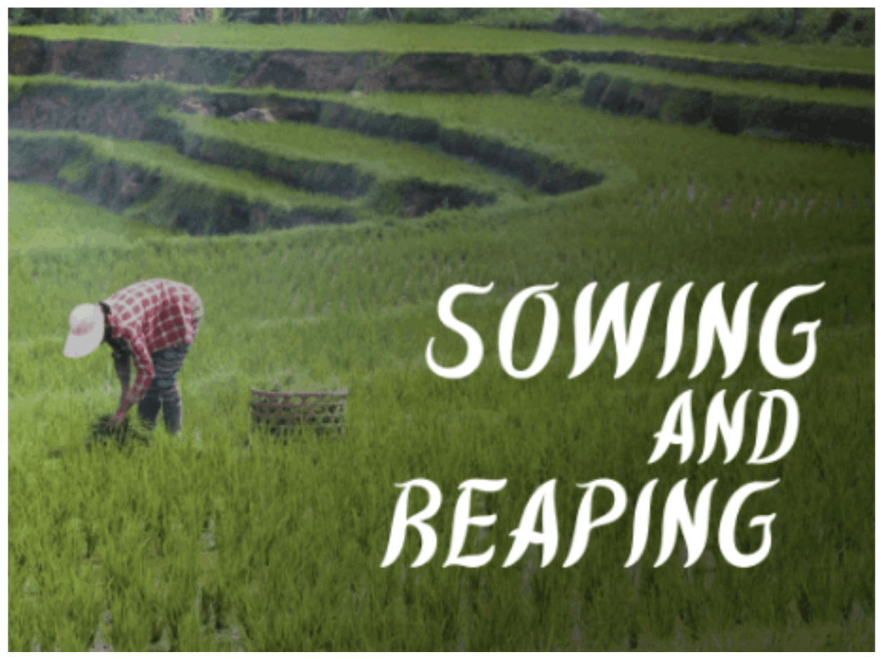 Sowing and Reaping