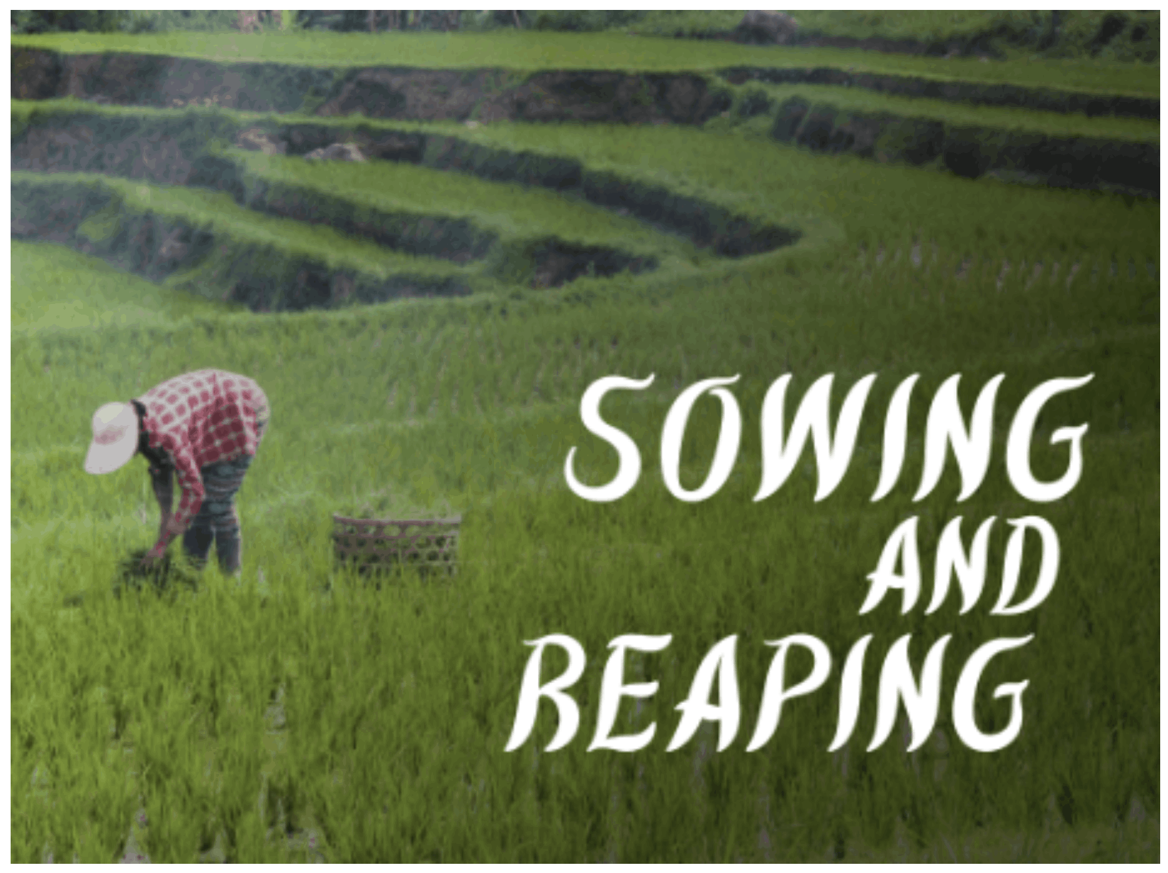 Sowing and Reaping